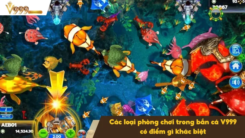 Phòng VIP của bắn cá V999 có tỷ lệ rơi xu cao gấp đôi phòng thường