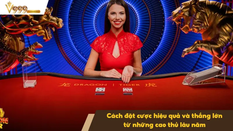 Rồng Hổ Là Gì - Luật Chơi Và Cách Đặt Cược Hiệu Quả 4 Cách đặt cược rồng hổ hiệu quả từ cao thủ