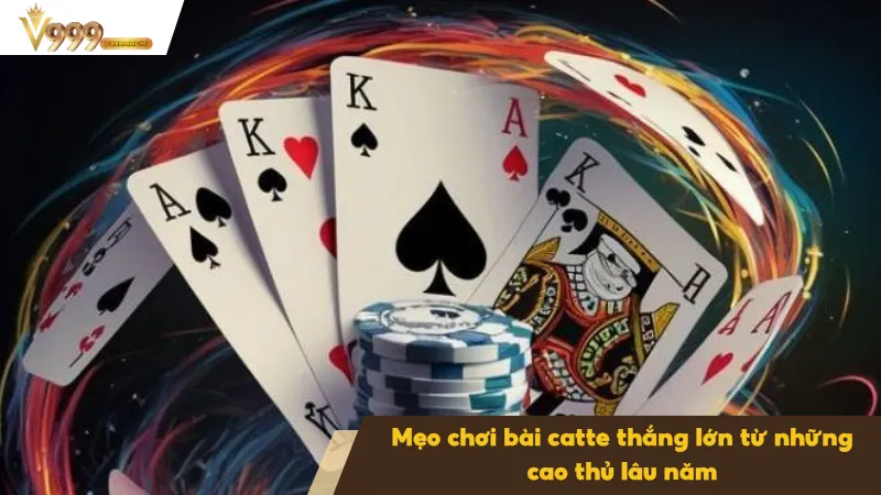Catte Là Gì - Tìm Hiểu Luật Chơi Và Cách Thắng Trong Game 4 Mẹo chơi bài Catte thắng lớn từ người chơi kỳ cựu