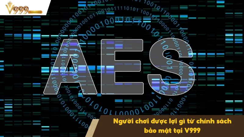 Chính Sách Bảo Mật 1 V999 áp dụng chính sách bảo mật với công nghệ AES-256 hiện đại
